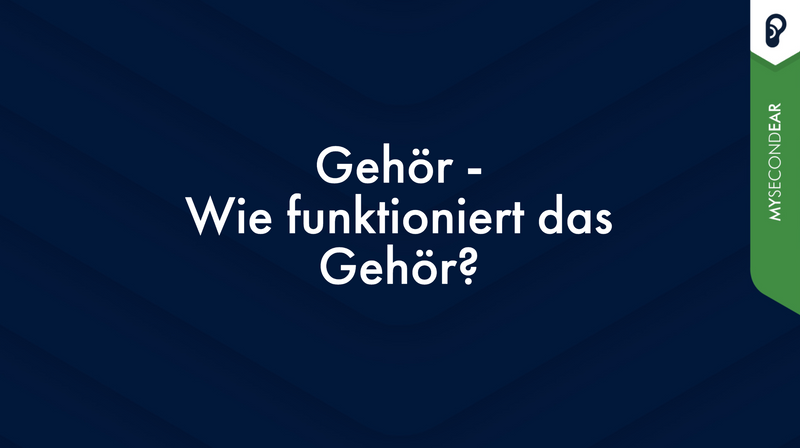 Gehör: Wie funktioniert das Gehör und was tun bei schlechtem Gehör?